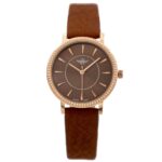 Montre pour Femme Marron M. JOHN
