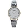 Montre Femme Gris CHTIME