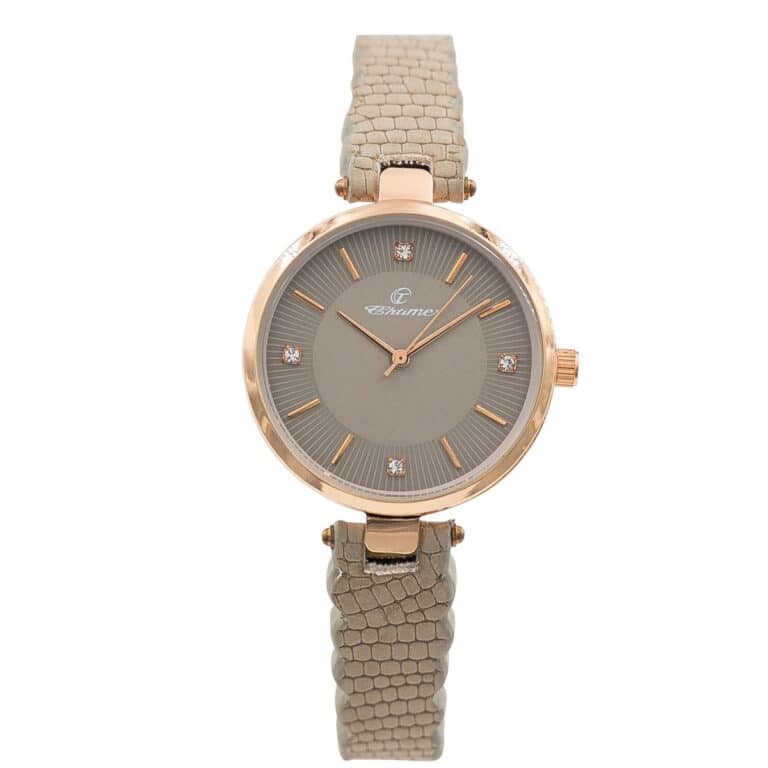 Magnifique Montre pour Femme Gris CHTIME