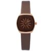 Montre Femme Tendance Marron COMELY