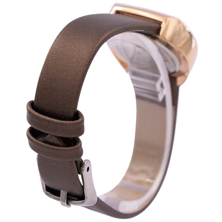 Montre Femme Tendance Marron COMELY