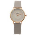 Montre Tendance Femme Gris CHTIME
