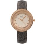 Jolie Montre Femme Strass Gris CHTIME