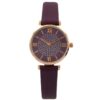 Montre pour Femme Paillettes Violet CHTIME