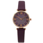 Montre pour Femme Paillettes Violet CHTIME